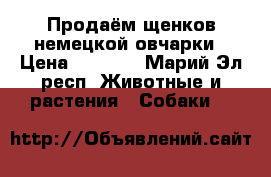 Продаём щенков немецкой овчарки › Цена ­ 7 000 - Марий Эл респ. Животные и растения » Собаки   